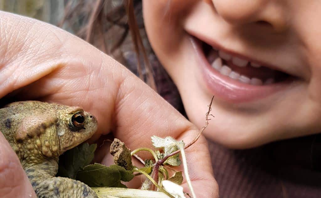 A boy looking at a toad