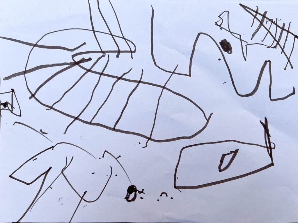 A child's drawing of lines, grids and enclosures