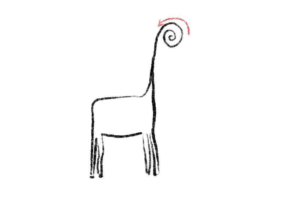 A giraffe's head has a spiral direction