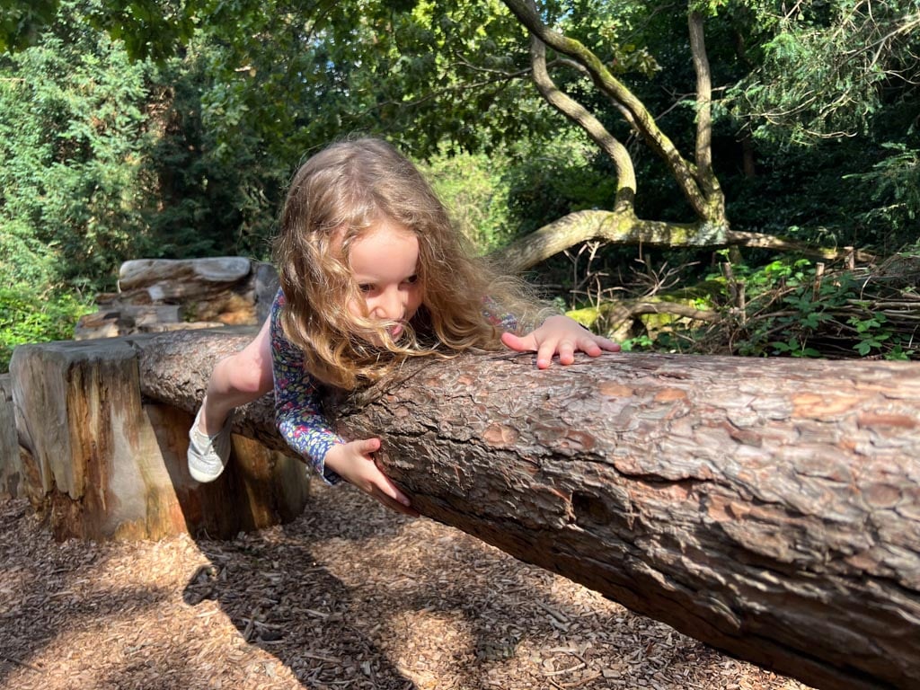 A girl sliding along a log